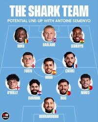 为简化计划并提高有效性 马泳总年杪重组国家游泳队